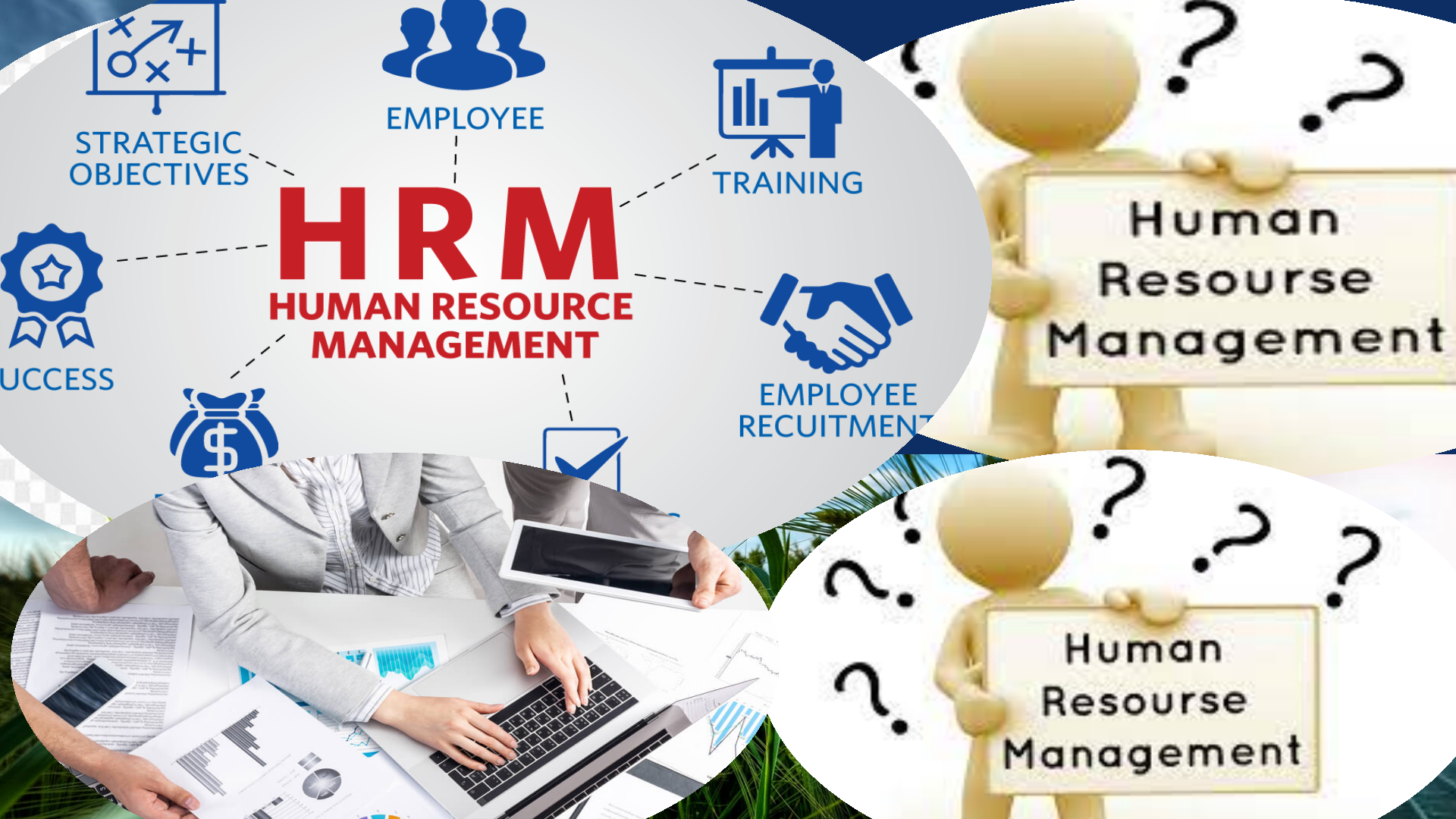 Management and Human Resources